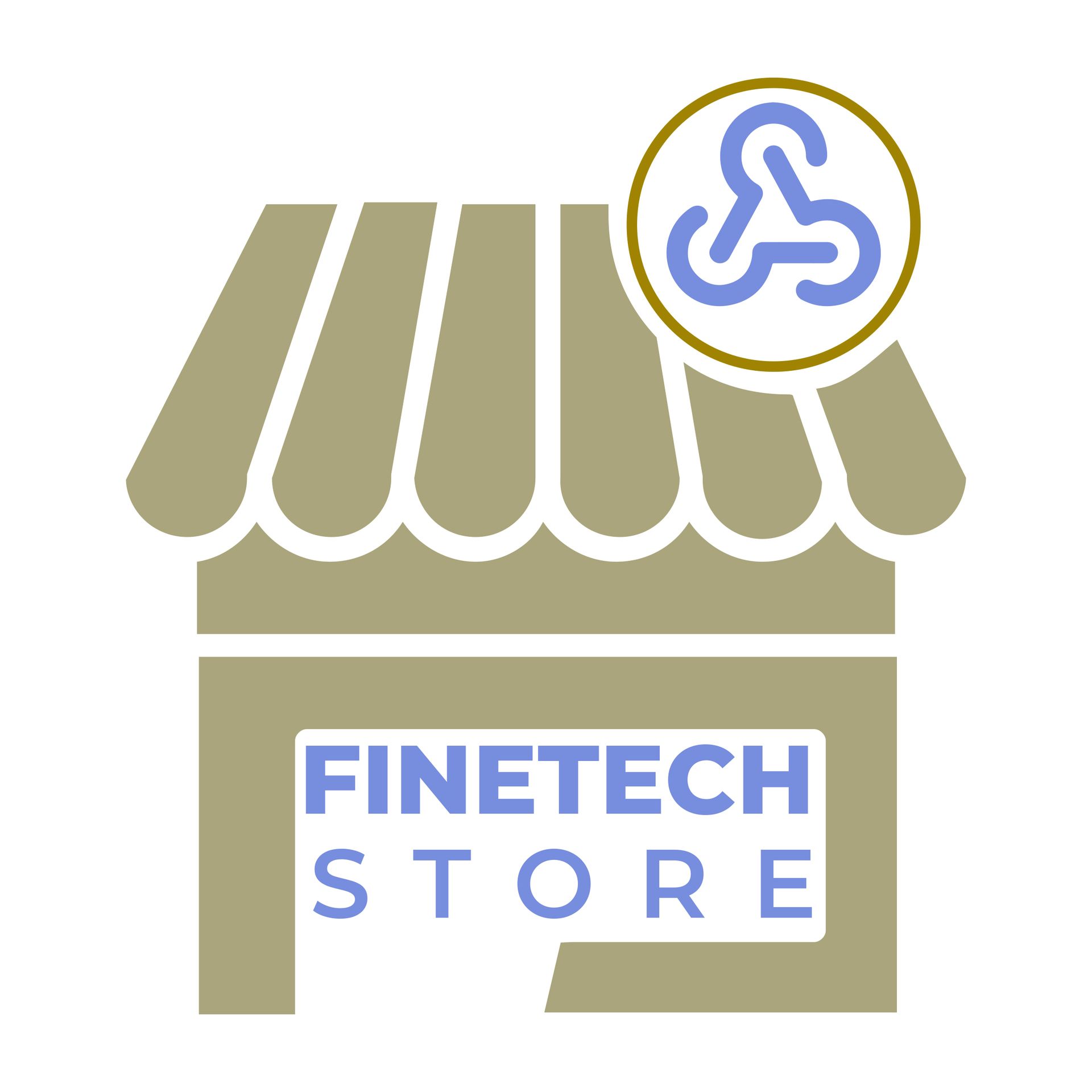 FineTech Store